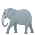 Answer AFRICAN ELEPHANT