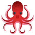 Answer OCTOPUS